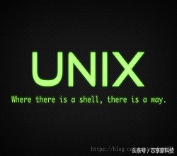 什么服务器操作系统更好?四大流派有这些!